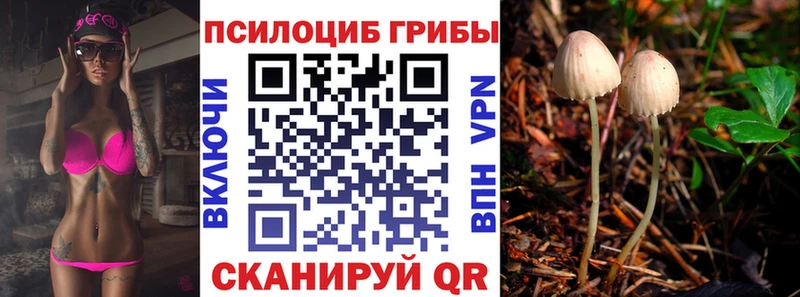 Купить закладки  Камышин  Галлюциногенные грибы Cubensis